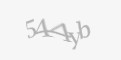 Kod antyspamowy